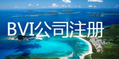 bvi群岛公司注册的特点（bvi注册公司的好处有哪些）