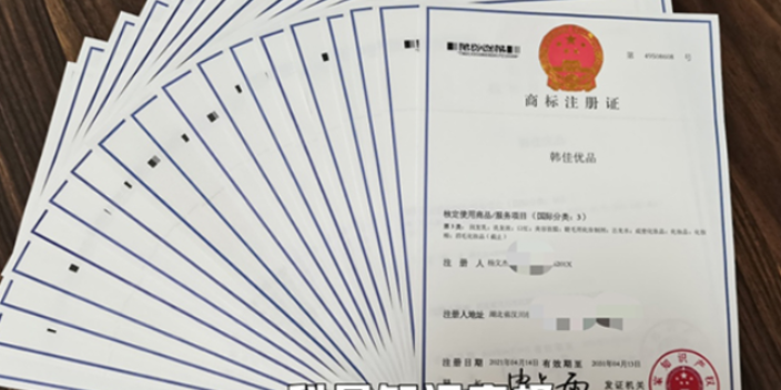 公司注册商标需要什么资料（公司注册商标需要什么资料和手续）
