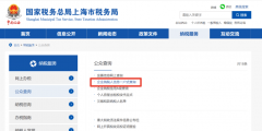 一般纳税人资格的认定标准是怎样的（一般纳税人资格的认定标准是怎样的呢）