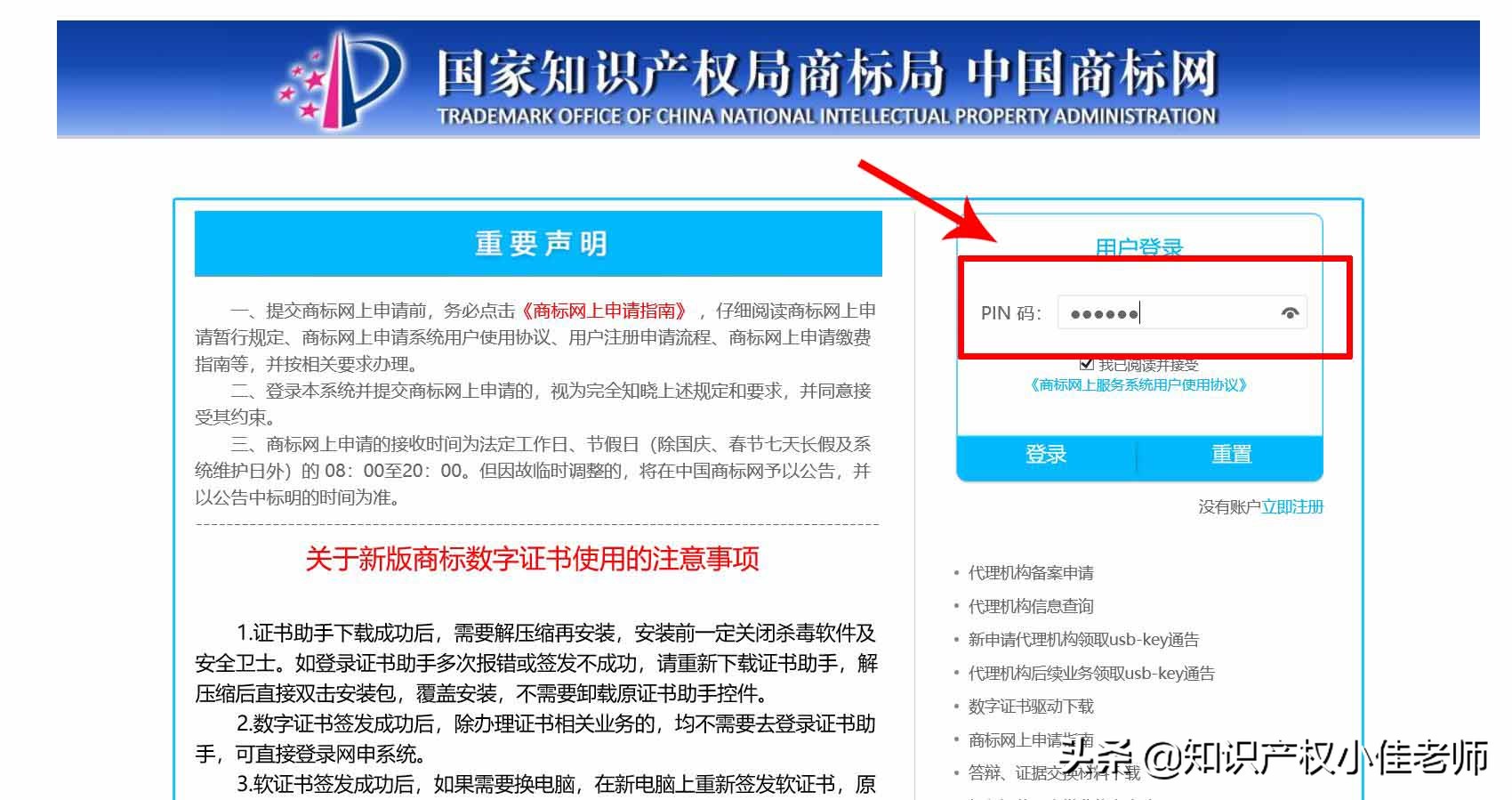 个人注册品牌要多少钱（个人注册品牌需要什么条件）