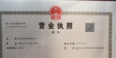 深圳个人注册公司要哪些条件（深圳个人注册公司要哪些条件和资料）