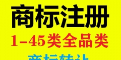沈阳商标注册公司（沈阳公司名称商标注册）