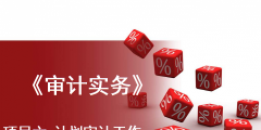 年度审计工作计划定制（年度审计工作计划定制方案）