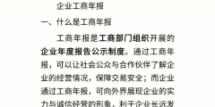 企业进行工商年报时应该如何年报（）