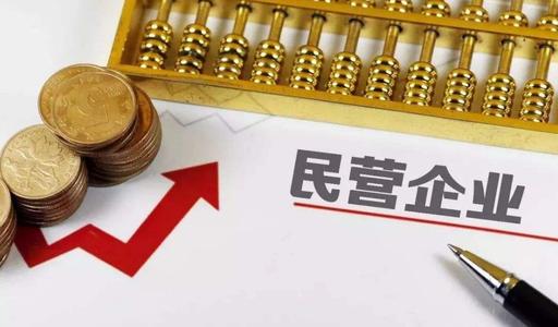 股份有限公司设立条件(股份制企业是什么意思)