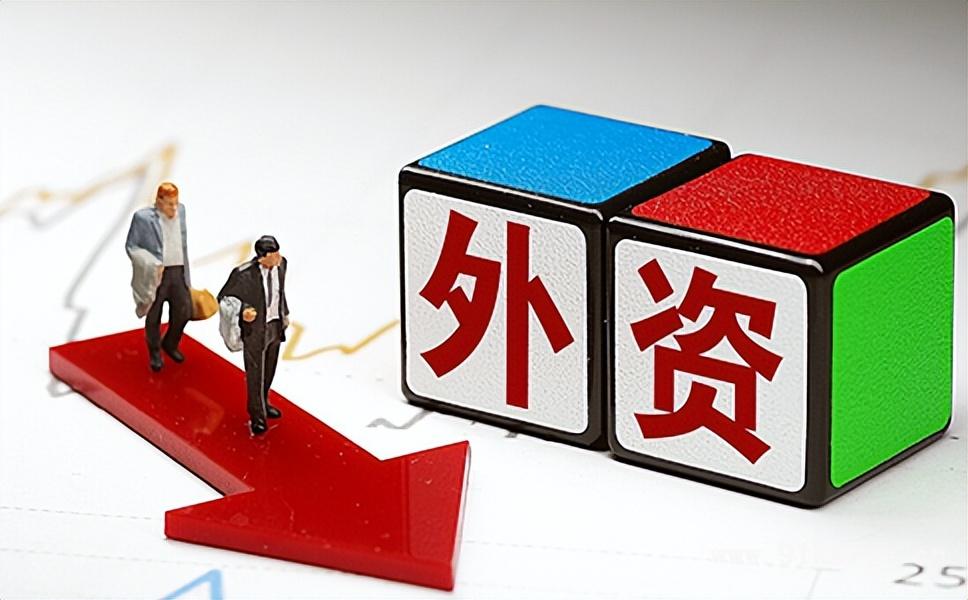 外资企业的定义(外资企业认定的基本特征有哪些)