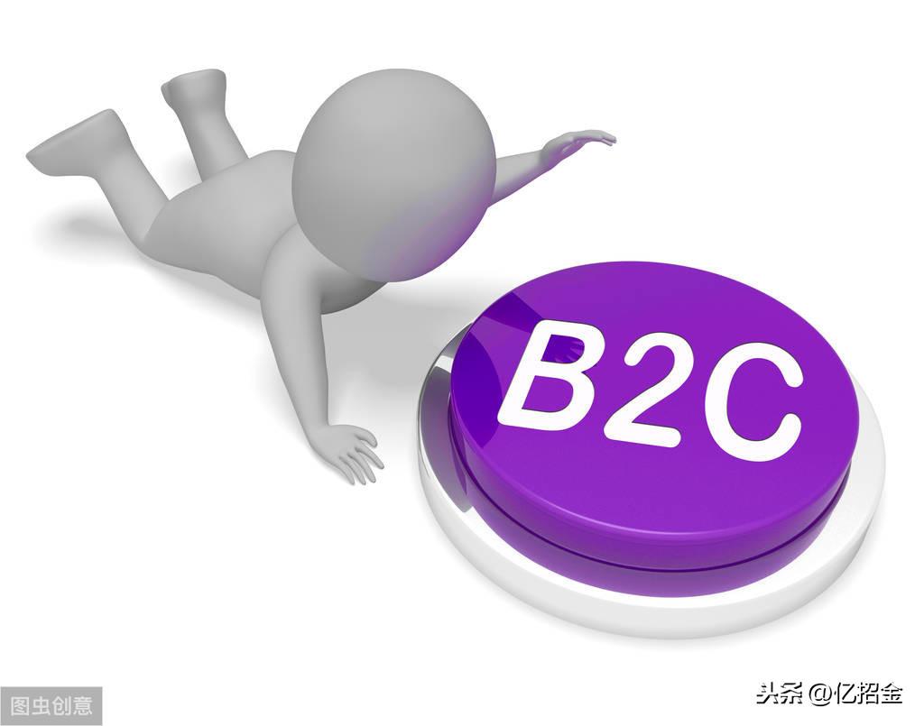B2C电子商务的主要类型(b2c指的是什么意思)