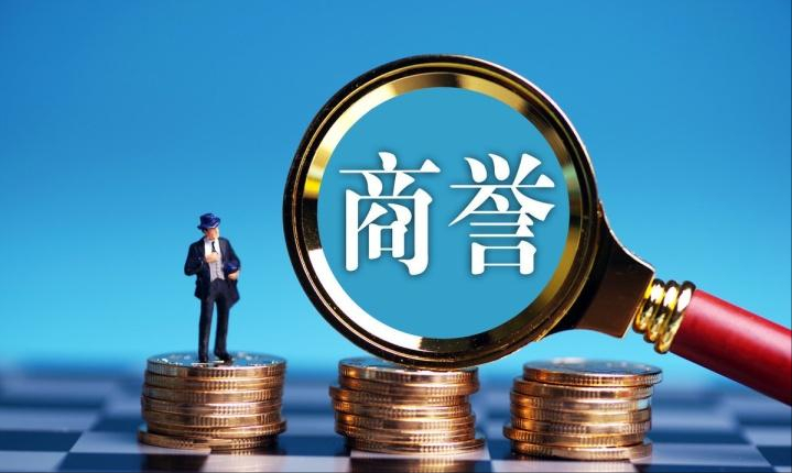 商誉属于什么资产(商誉属于企业的无形资产吗)