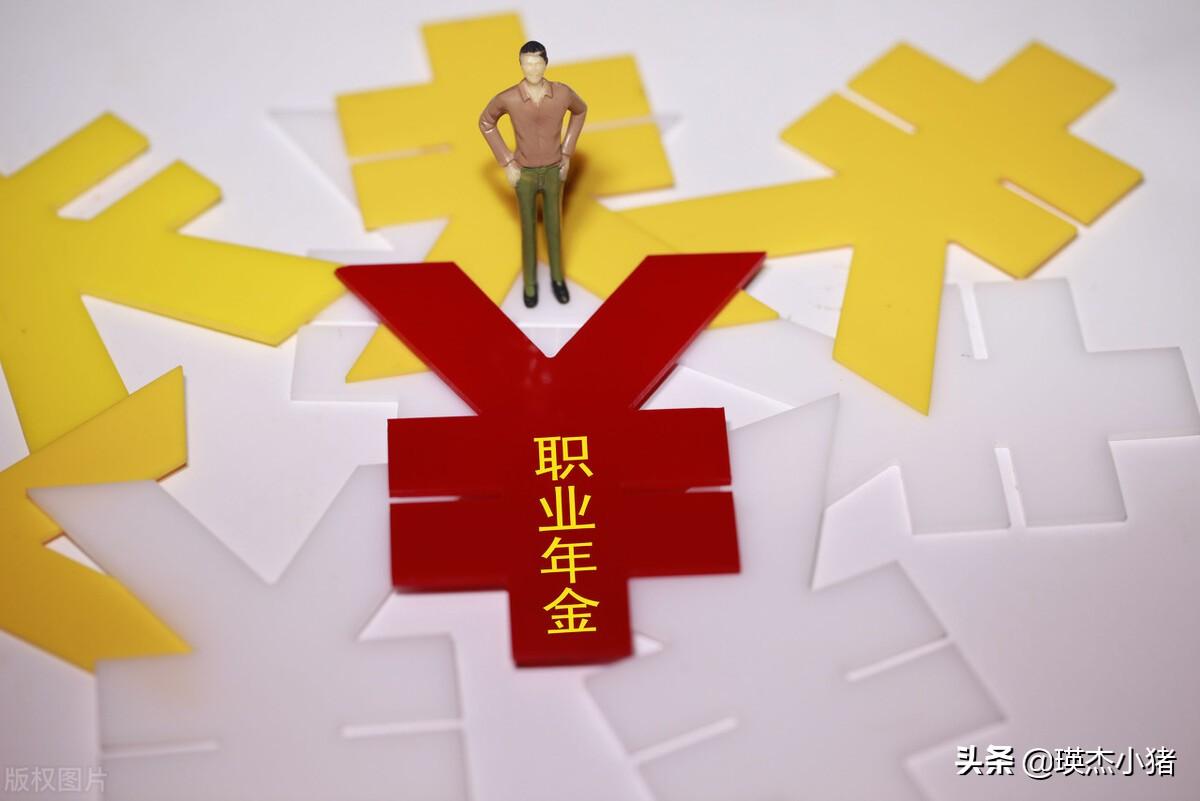 职业年金是什么意思(职业年金的概念)