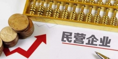股份有限公司设立条件(股份制企业是什么意思)