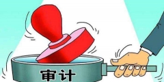 离任审计的主要内容有哪些(离任审计是指什么)