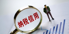 企业税务贷款需要什么条件(税贷对征信的要求)