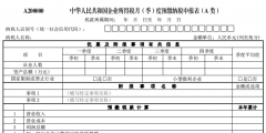 企业所得税季度申报表A类怎么填写(企业所得税申报表填报说明)