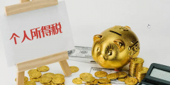 个人所得税怎么缴纳的(个人所得税两种扣除方式)