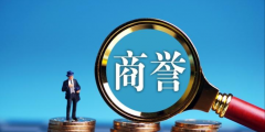 商誉属于什么资产(商誉属于企业的无形资产吗)