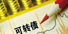 可转债的重要条款有哪些