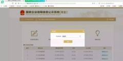 工商年报网上怎么申报(上海工商年报网上申报流程)
