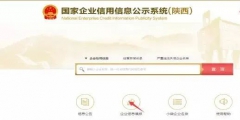 企业年报纳税总额怎么填写(企业工商年报完整流程)
