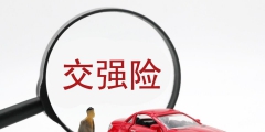 汽车保险包括哪些具体险种(车险内容详细介绍)