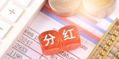 股东分红如何缴税(各种股东形式分红交税标准)