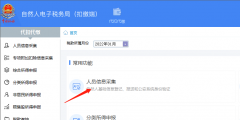 企业个人所得税如何申报(企业个税报税网上申报流程)