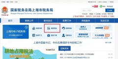 全国查询一般纳税人资格的网站(一般纳税人资格如何查询)