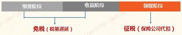 个人税收递延型商业养老保险怎么交(个税延型养老保险是什么)