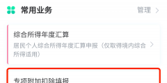 如何申报个人所得税(个人所得税app申报流程)