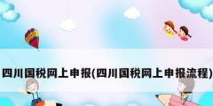 四川国税网上申报(四川国税网上申报流程)
