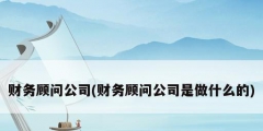 财务顾问公司(财务顾问公司是做什么的)