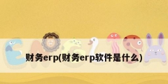 财务erp(财务erp软件是什么)