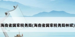 海南省国家税务局(海南省国家税务局林斌)