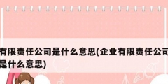 有限责任公司是什么意思(企业有限责任公司是什么意思)