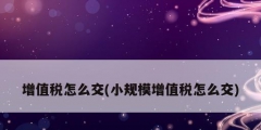 增值税怎么交(小规模增值税怎么交)