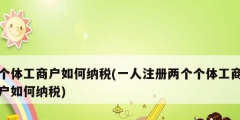 个体工商户如何纳税(一人注册两个个体工商户如何纳税)