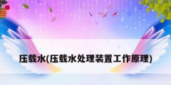 压载水(压载水处理装置工作原理)