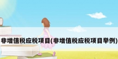 非增值税应税项目(非增值税应税项目举例)