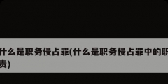 什么是职务侵占罪(什么是职务侵占罪中的职责)