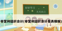 非营利组织会计(非营利组织会计报表模板)