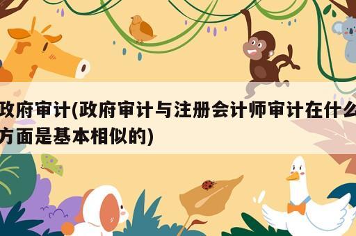 政府审计(政府审计与注册会计师审计在什么方面是基本相似的)