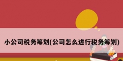 小公司税务筹划(公司怎么进行税务筹划)