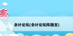 会计论坛(会计论坛陈版主)