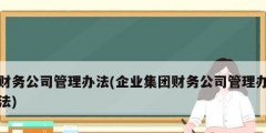 财务公司管理办法(企业集团财务公司管理办法)