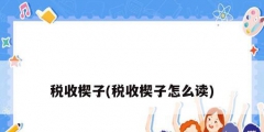 税收楔子(税收楔子怎么读)