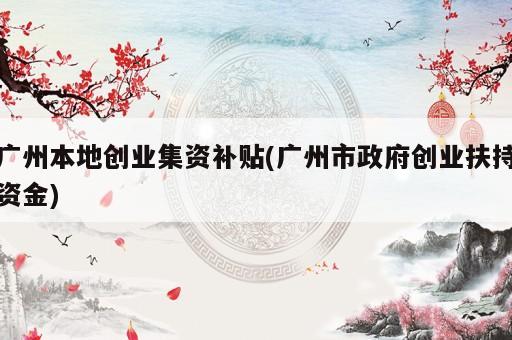 广州本地创业集资补贴(广州市政府创业扶持资金)