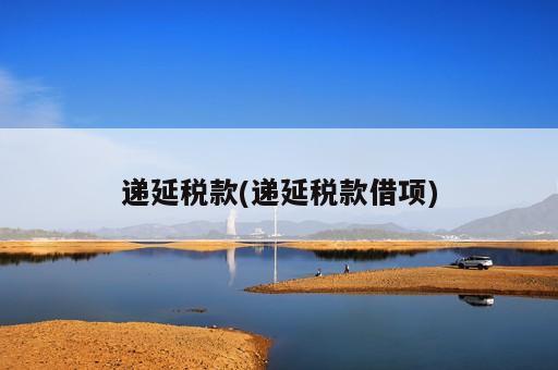 递延税款(递延税款借项)