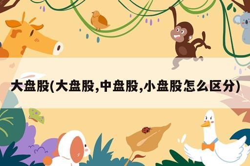 大盘股(大盘股,中盘股,小盘股怎么区分)