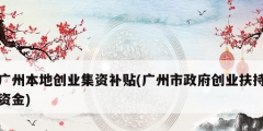 广州本地创业集资补贴(广州市政府创业扶持资金)