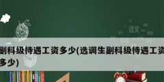 副科级待遇工资多少(选调生副科级待遇工资多少)