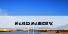 递延税款(递延税款借项)